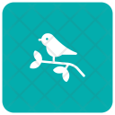 پیش‌نمایش فایل sparrow-83 از پک کریسمس، جلد ۱