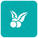 پیش‌نمایش فایل blueberry-50 از پک کریسمس، جلد ۲
