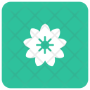 پیش‌نمایش فایل flower-1061 از پک کریسمس، جلد ۲