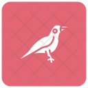 پیش‌نمایش فایل bird-174 از پک هالووین – سبک گلیف مربعی گوشه‌گرد – جلد ۲
