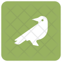 پیش‌نمایش فایل bird-175 از پک هالووین – سبک گلیف مربعی گوشه‌گرد – جلد ۲