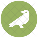 پیش‌نمایش فایل bird-191 از پک هالووین – سبک گلیف دایره‌ای – جلد ۲