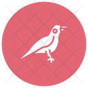 پیش‌نمایش فایل bird-192 از پک هالووین – سبک گلیف دایره‌ای – جلد ۲