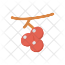 پیش‌نمایش فایل berry-23 از پک کریسمس – سبک فلت – جلد ۱