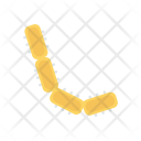 پیش‌نمایش فایل cells-9 از پک مدرسه و آموزش – آیکن‌های فلت