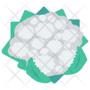 پیش‌نمایش فایل broccoli-77 از پک میوه‌ها و سبزیجات – سبک فلت