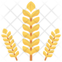 پیش‌نمایش فایل grain-16 از پک میوه‌ها و سبزیجات – سبک فلت