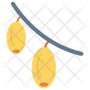 پیش‌نمایش فایل mango-49 از پک میوه‌ها و سبزیجات – سبک فلت
