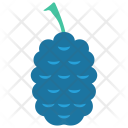 پیش‌نمایش فایل raspberry-51 از پک میوه‌ها و سبزیجات – سبک فلت