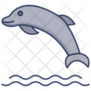 پیش‌نمایش فایل dolphin-5813244 از پک اکولوژی – جلد ۱