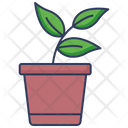 پیش‌نمایش فایل plant-pot-5813209 از پک اکولوژی – جلد ۲