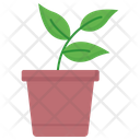 پیش‌نمایش فایل plant-pot-5812981 از پک اکولوژی – جلد ۲