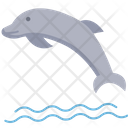 پیش‌نمایش فایل dolphin-5813016 از پک اکولوژی – جلد ۱