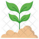 پیش‌نمایش فایل leaf-5813042 از پک اکولوژی – جلد ۱