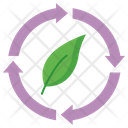 پیش‌نمایش فایل leaf-5813043 از پک اکولوژی – جلد ۱