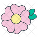 پیش‌نمایش فایل roses-5813887 از پک عروسی – جلد ۲
