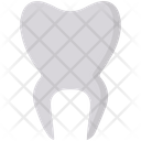 پیش‌نمایش فایل molar-5837965 از پک بیمه – جلد ۱