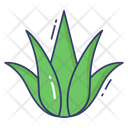 پیش‌نمایش فایل desert-plant-6007401 از پک بیابان – جلد ۱