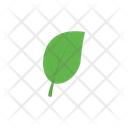 پیش‌نمایش فایل leaf-5980421 از پک بازی‌ها – جلد ۳