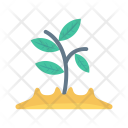 پیش‌نمایش فایل plnt-growth از پک طبیعت و اکولوژی – آیکن‌های فلت