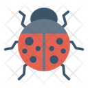 پیش‌نمایش فایل ladybird-33 از پک حیوانات