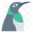 پیش‌نمایش فایل penguin-108 از پک حیوانات
