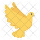 پیش‌نمایش فایل piegon از پک حیوانات