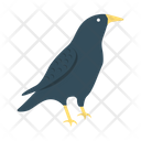 پیش‌نمایش فایل crow-30 از پک هالووین