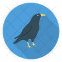 پیش‌نمایش فایل crow-31 از پک ۱۱۸ و هالووین