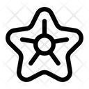 پیش‌نمایش فایل starfish-2197334 از پک تعطیلات – جلد ۳