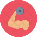 پیش‌نمایش فایل bicep-2321747 از پک زندگی سالم
