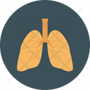 پیش‌نمایش فایل lungs-2321770 از پک زندگی سالم