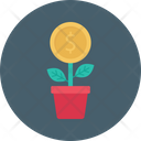 پیش‌نمایش فایل growth-plant-2321945 از پک پول