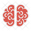پیش‌نمایش فایل brain-2326130 از پک فرآیند خلاقیت