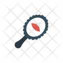 پیش‌نمایش فایل mirror-2325497 از پک زیبایی و سالن آرایشی