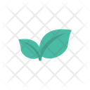 پیش‌نمایش فایل leaves-2325448 از پک زیبایی و سالن آرایشی