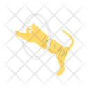 پیش‌نمایش فایل lion-circus-2324794 از پک سیرک