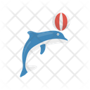 پیش‌نمایش فایل dolphin-circus-2324729 از پک سیرک