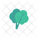 پیش‌نمایش فایل oak-2323823 از پک سلامت و تناسب اندام