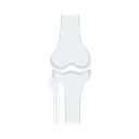 پیش‌نمایش فایل bone-joint-2323795 از پک سلامت و تناسب اندام