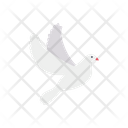 پیش‌نمایش فایل pigeon-3631224 از پک خیریه – جلد ۱