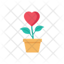 پیش‌نمایش فایل plant-pot-3631201 از پک خیریه – جلد ۱