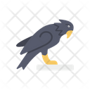 پیش‌نمایش فایل eagle-3675186 از پک ارابیا