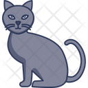 پیش‌نمایش فایل black-cat-3664012 از پک هالووین