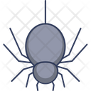 پیش‌نمایش فایل spider-3663995 از پک هالووین