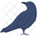 پیش‌نمایش فایل raven-3663874 از پک هالووین