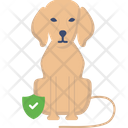 پیش‌نمایش فایل dog-protection-3665258 از پک بیمه