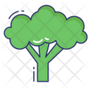 پیش‌نمایش فایل broccoli-3664305 از پک سالم