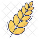 پیش‌نمایش فایل wheat-3664297 از پک سالم