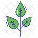 پیش‌نمایش فایل leaf-3658203 از پک کمپینگ و پیاده‌روی – جلد ۱
